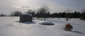 Ant-MW-10-03-2025.JPG