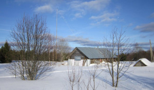 Dom-Ant-2-10-03-2025.JPG