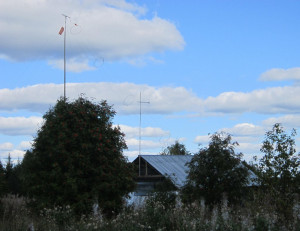 IMG_2329.JPG
