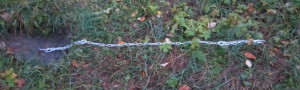 IMG_2457.JPG