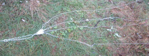 IMG_2463.JPG