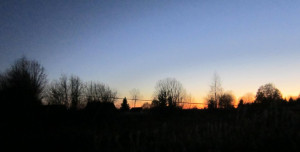 IMG_2468.JPG