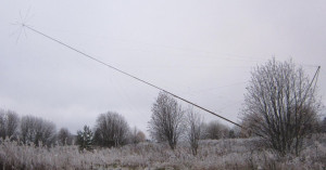 IMG_2503.JPG