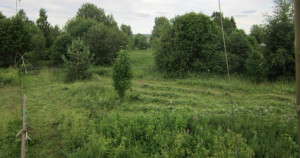 IMG_2675.JPG