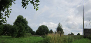 IMG_2729.JPG