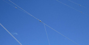 IMG_2757.JPG
