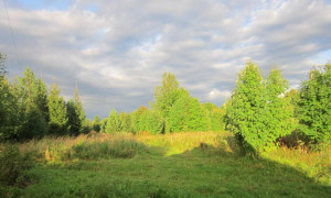 IMG_2778.JPG