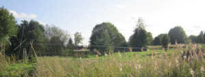 IMG_2783.JPG