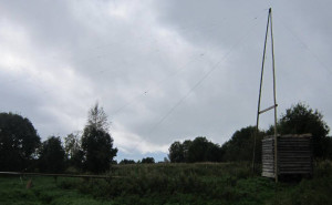 IMG_2809.JPG