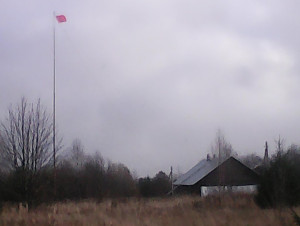 IMG_20231020_114751.jpg