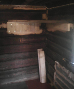 IMG_20240724_174637.jpg