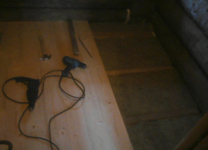 IMG_20240825_182409.jpg