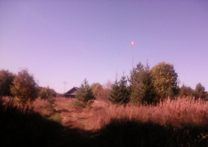 IMG_20240910_110756.jpg