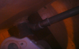 IMG_20241011_174302.jpg