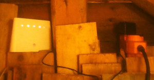 IMG_20241023_120928.jpg