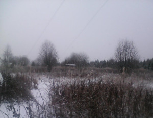 IMG_20241106_095550.jpg