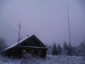 IMG_20241115_081013.jpg